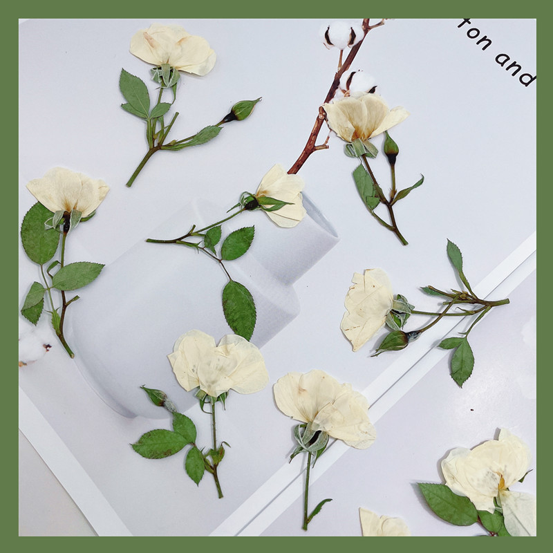 Wedding Card Box - 12 sztuk, naturalne białe różowe czerwone